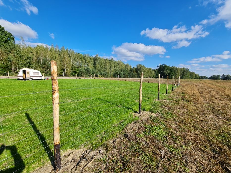 Ogrodzenie tymczasowe leśne budowa