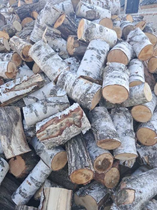 Drzewo,drewno opałowe,opał,kominkowe dąb, brzoza,akacja,sosna