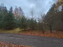 Kurówek Prądzewski, pow. bełchatowski, woj. łódzkie - 2,47 ha