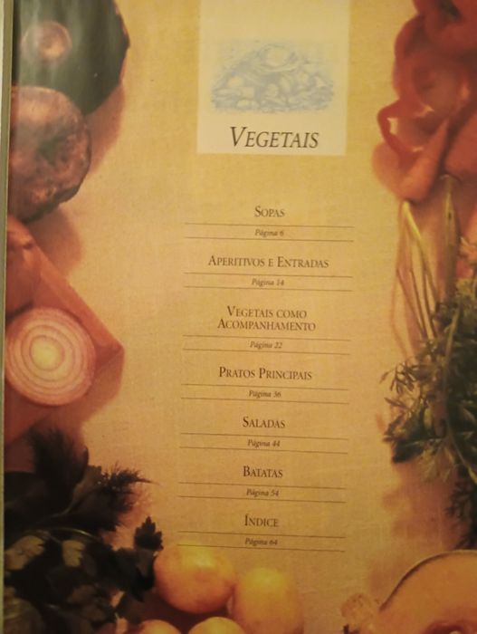 Vegetais: Entradas - pratos principais - saladas	- Como Novo!