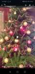 Árvore de natal iluminada