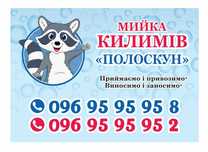 Мийка   Килимів   "ПОЛОСКУН"