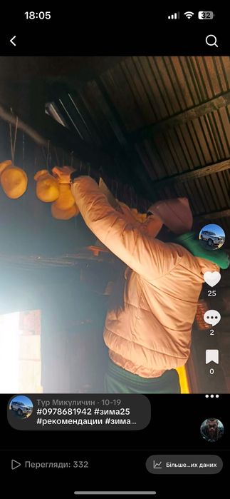 Джип Тур Микуличин