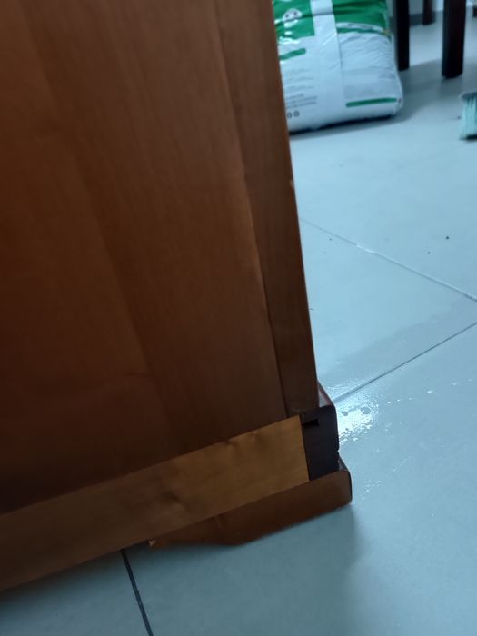 Lindo móvel de entrada l com prateleiras