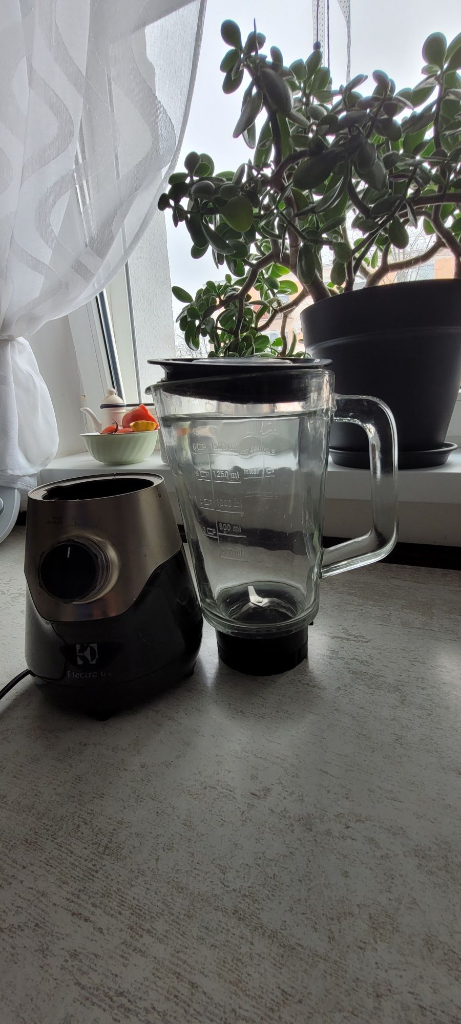 Blender kielichowy Electrolux