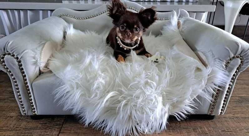 Legowisko kanapa glamour dla psa kota MALTAŃCZYK YORK KOT