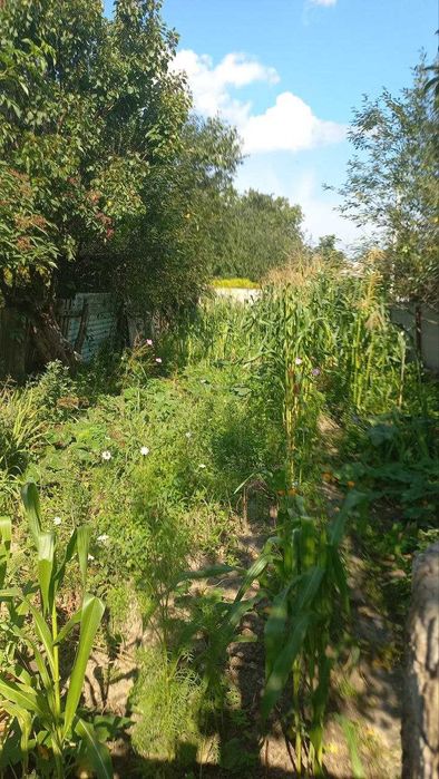 Продаж ділянки під модульний будинок, дачу