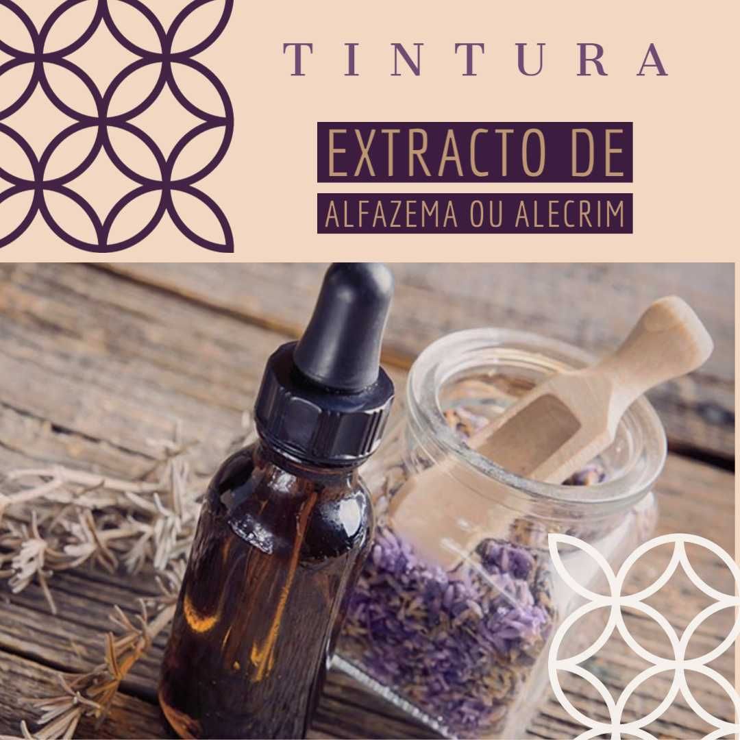 Tintura de Alecrim / Extrato de Rosmarinus Officinalis 50ml