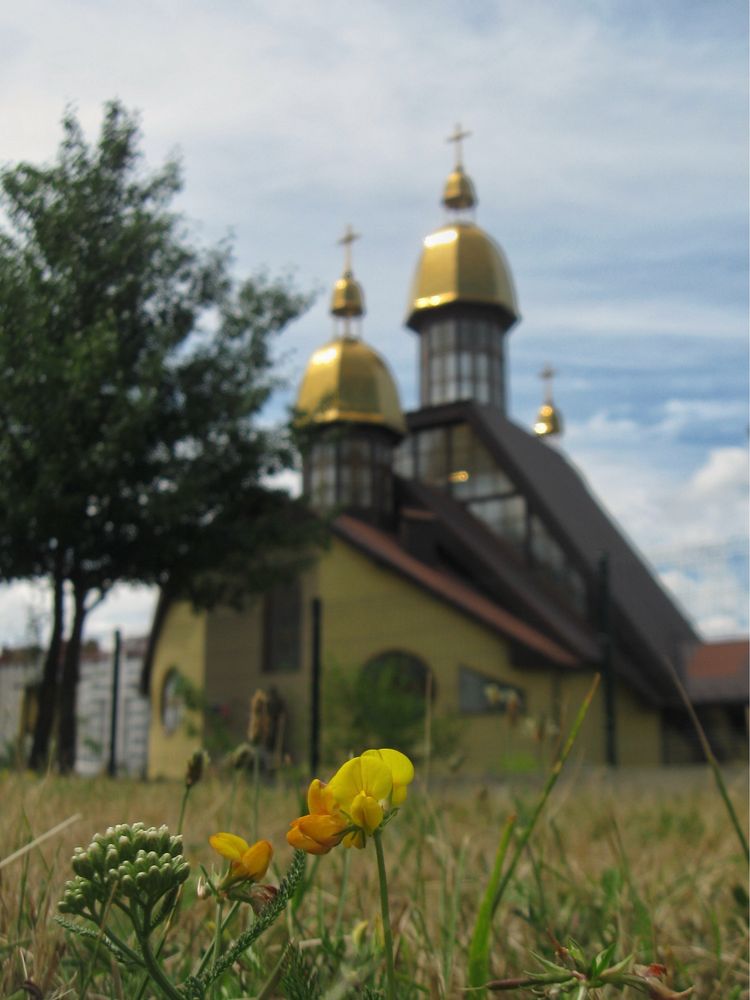 Шукаю модель (фото)