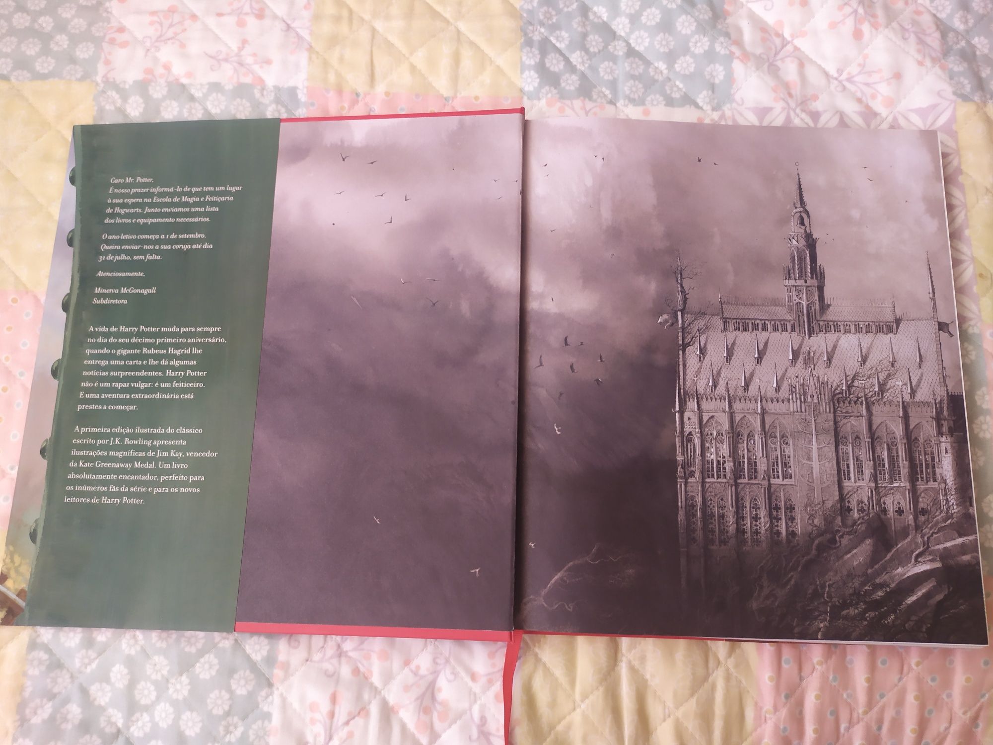 Livro Harry Potter e a Pedra Filosofal ilustrado