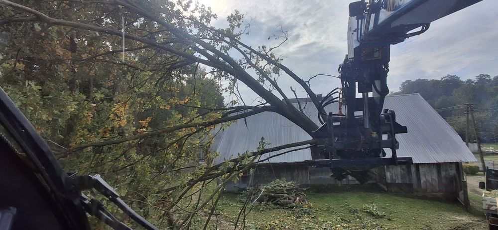Porządki ogrodowe sprzątanie Karczowanie przycinanie wycinka