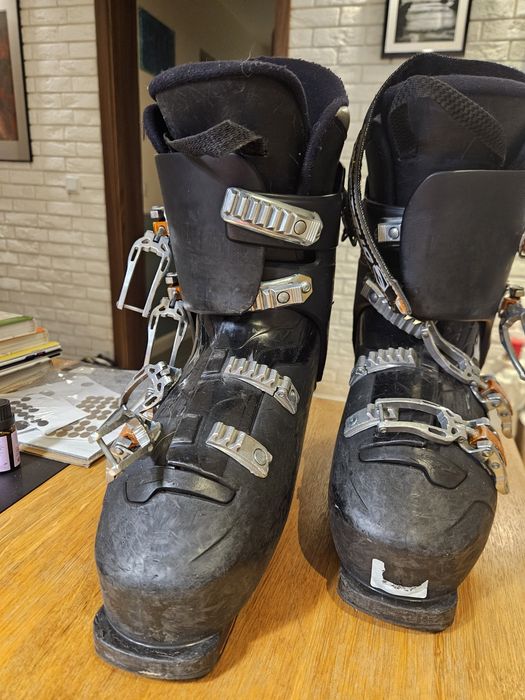 Buty narciarskie Dalbello