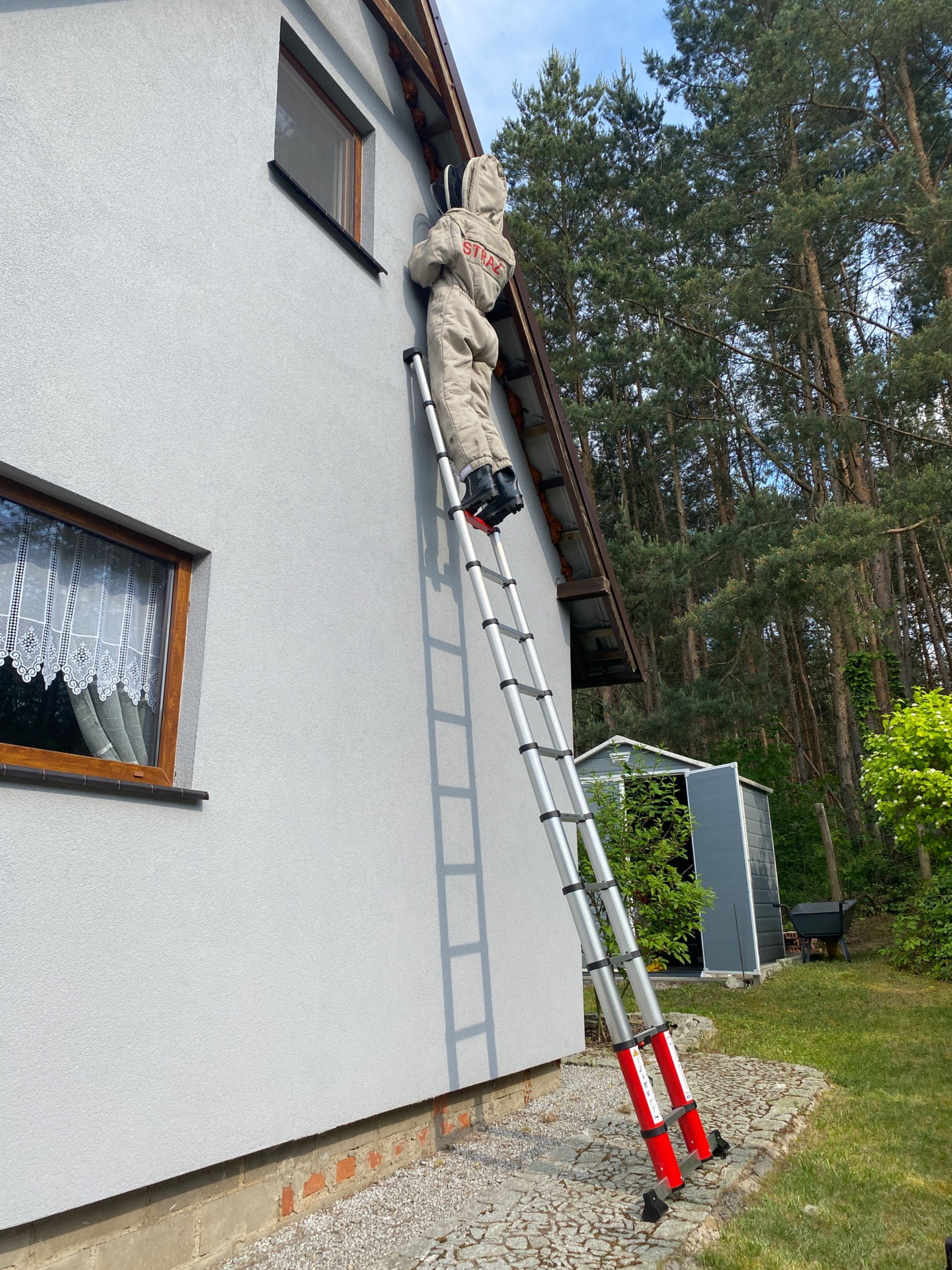 Usuwanie, likwidacja gniazd os i szerszeni WSCHOWA LESZNO GŁOGÓW