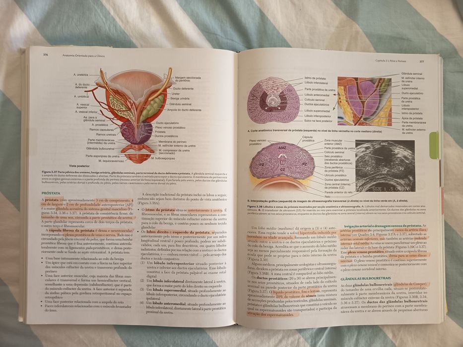 Anatomia orientada para a clínica - Moore - 7ª Ed - Português