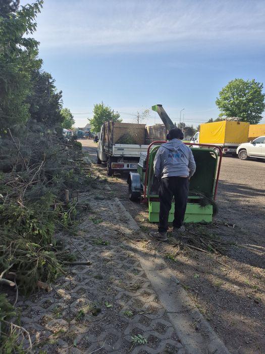 Wycinka drzew / Usługi rębakiem / Pielęgnacja zieleni