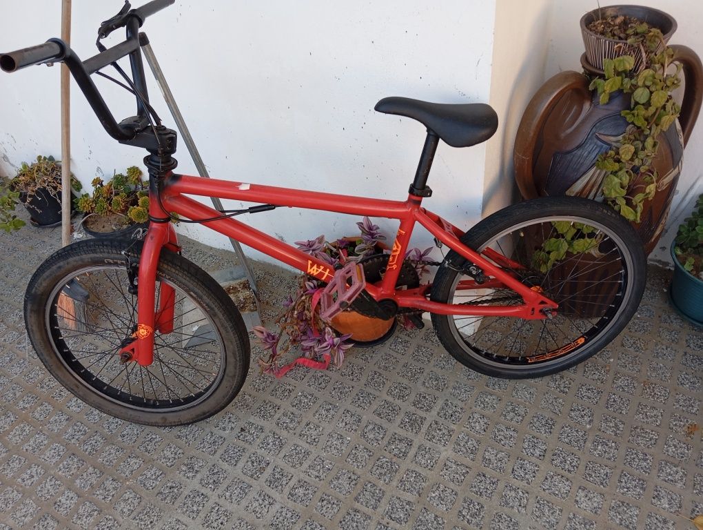 Bicicleta friwstail