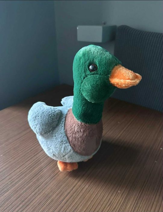 Pluszak kaczka Carrefour zabawka pluszowa zwierzę