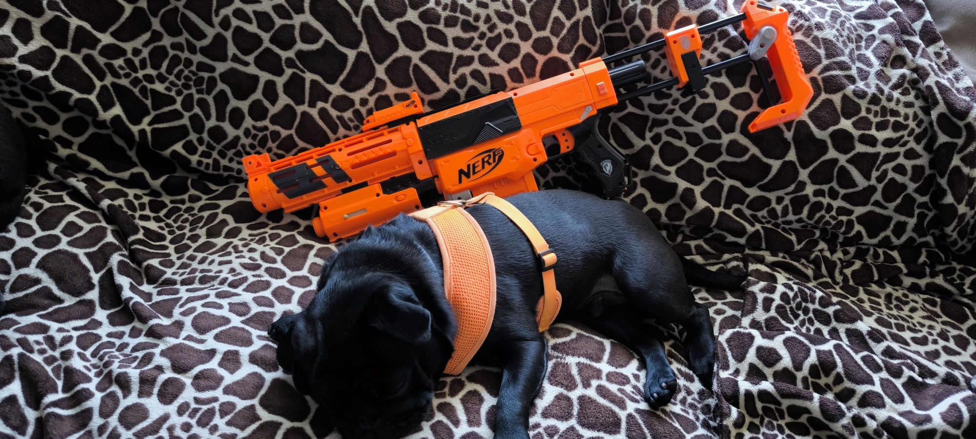 Nerf modułowy Recon CS-6