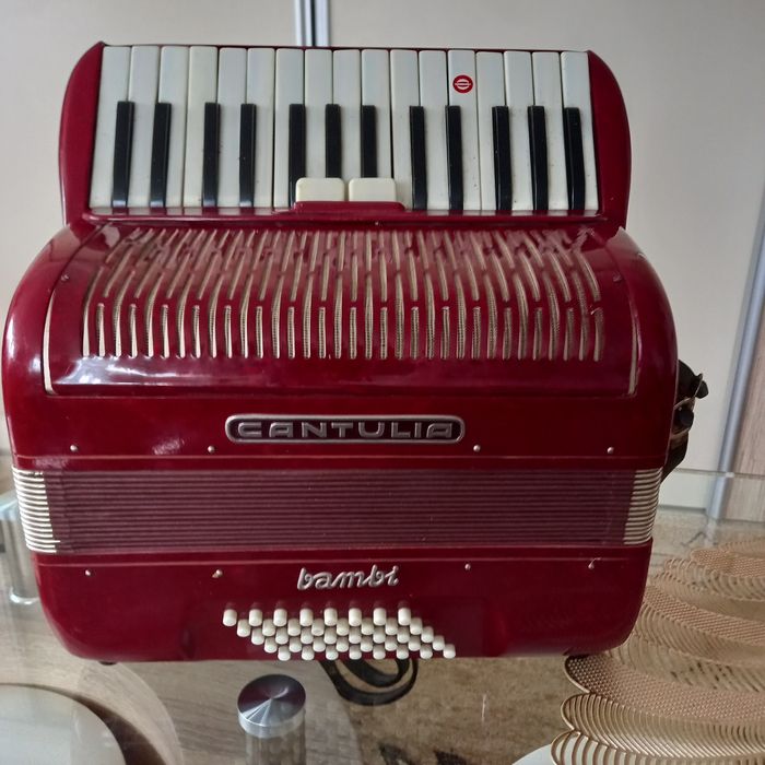 Akordeon Cantulia 40 basow 600 zl!