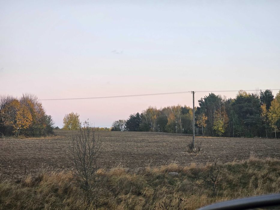 Grunty rolne Podlasie z linią elektryczną średniego napięcia