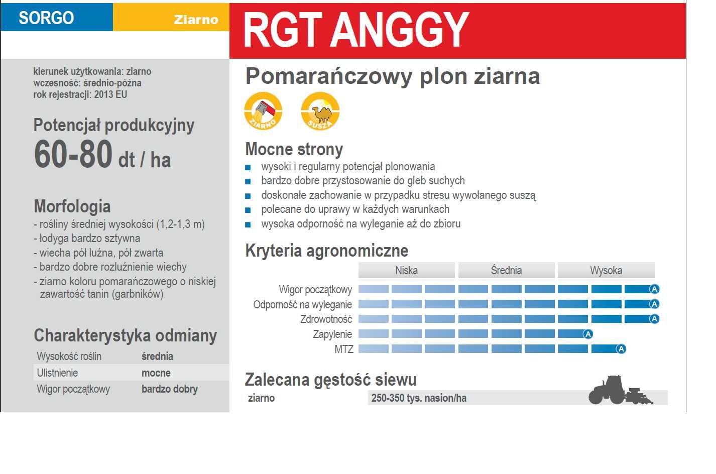 Materiał siewny  Sorgo na ziarno RAGT ANGGY , BELUGA , ICEBERGG