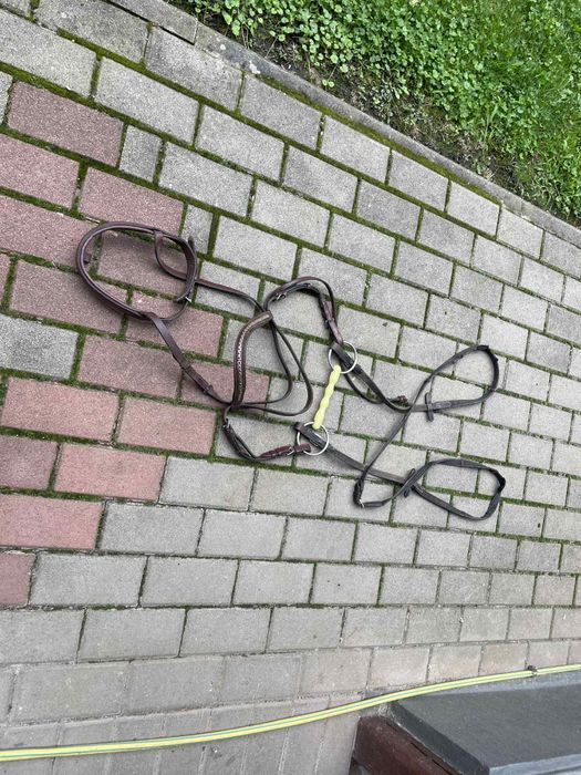 Ogłowie zaprzęgowe używane