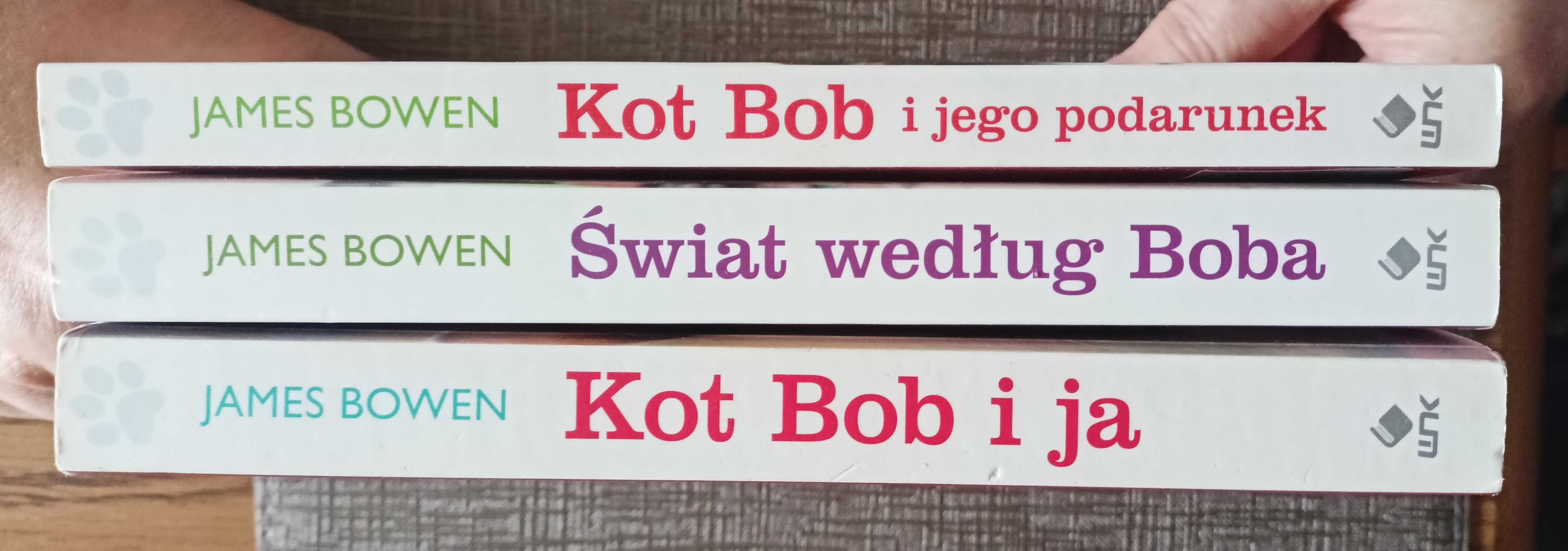 James Bowen - Kot Bob i jego podarunek, Kot Bob i ja, Świat wg Boba