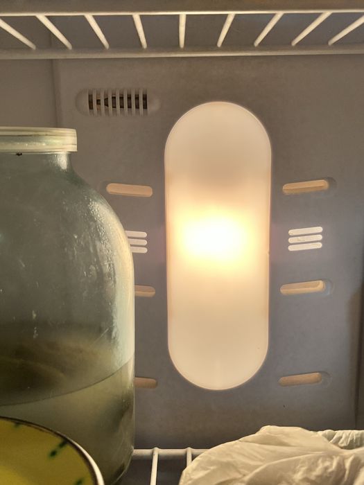 Ідеальний холодильник Samsung із дуже хорошою системою охолодження