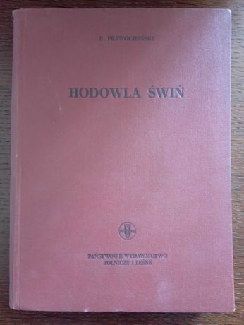 Hodowla świń - R. Prawocheński