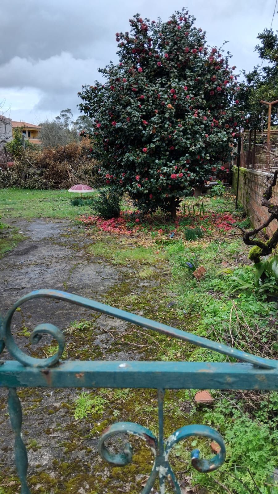 Vende  moradia bem localizada estrada principal
