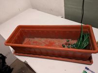 vaso comprido para plantas