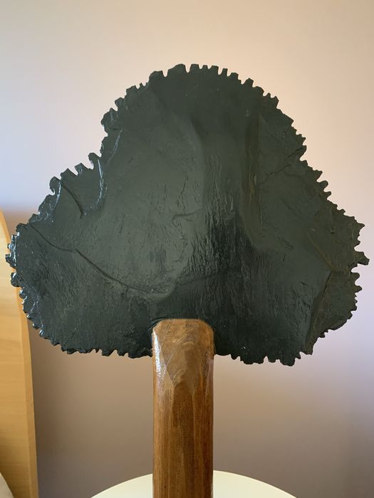 Decoração de Autor