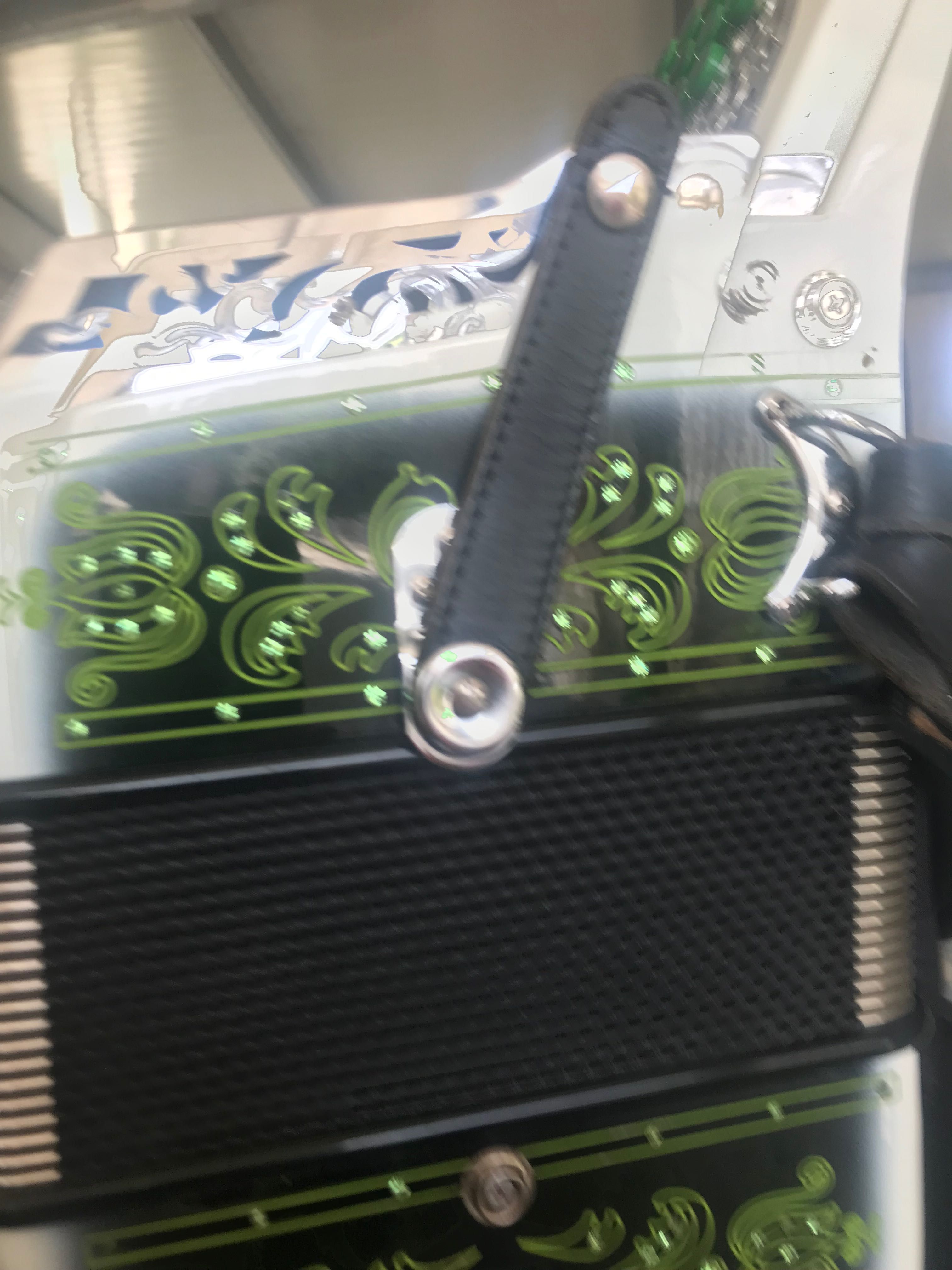 Vendo concertina da Famosa marca Pedrosini