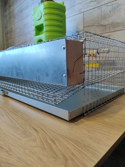 Клітка для перепелів