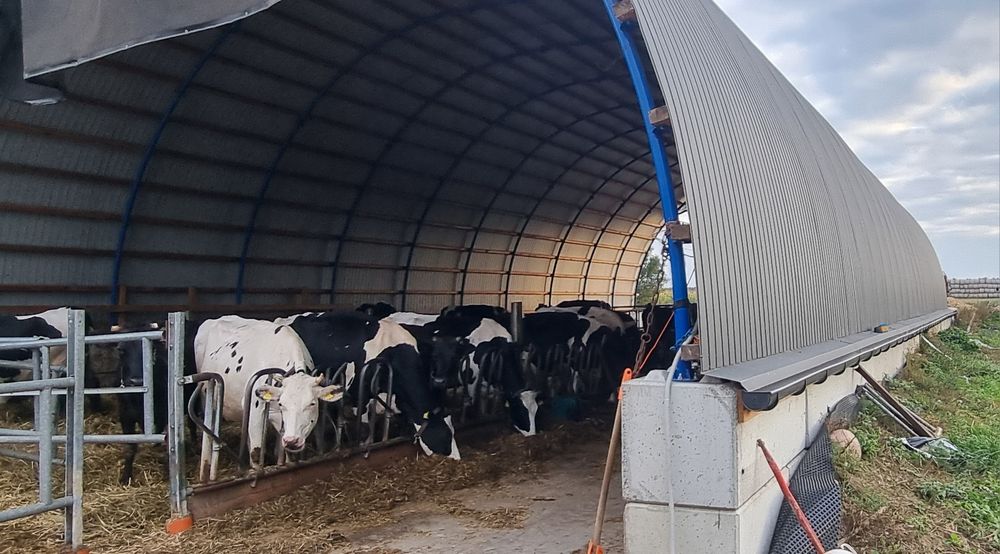 Hala łukowa 12 x 30m magazyn obora bydło garaż wiata rolnicza