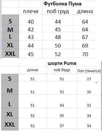 Чоловічий комплект Puma футболка + шорти (на вибір)
