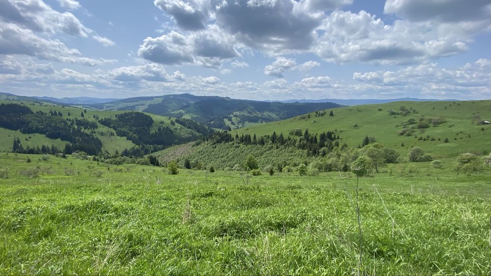 Будинок в горах з великою земельною ділянкою