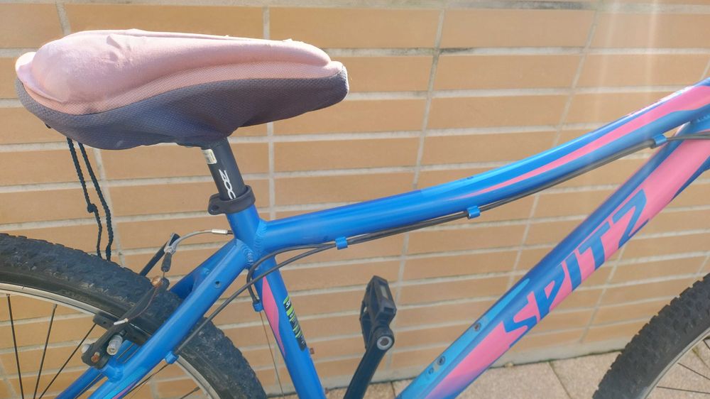 Bicicleta Spitz Terrain 10