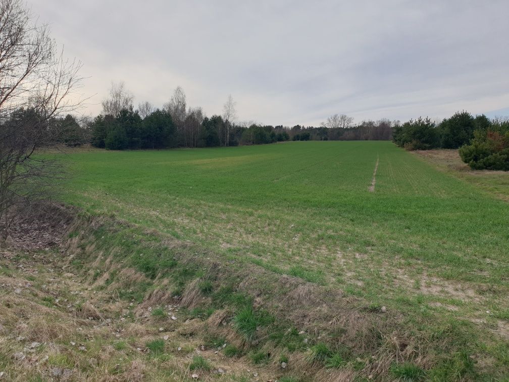 Sprzedam działkę budowlaną 7500m2 Rawa gm.Michów