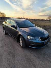 Продаж авто Skoda  Octavia