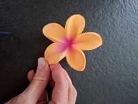 Klamra do włosów Orange Aloha Bonjour Brigitte