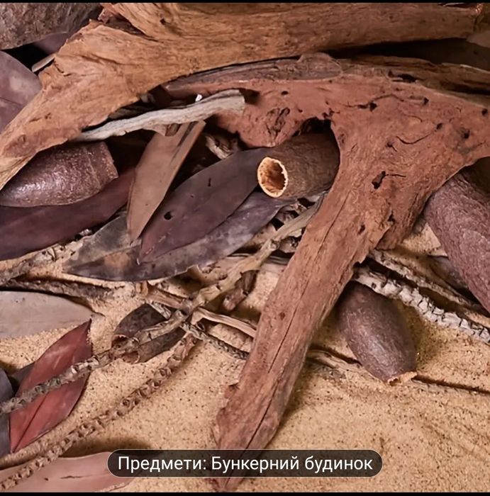 Декорація для тераріума