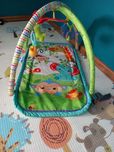 Mara do zabawy Fisher Price