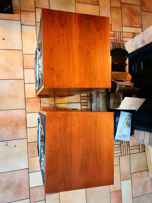 Głośniki Pioneer HPM 100