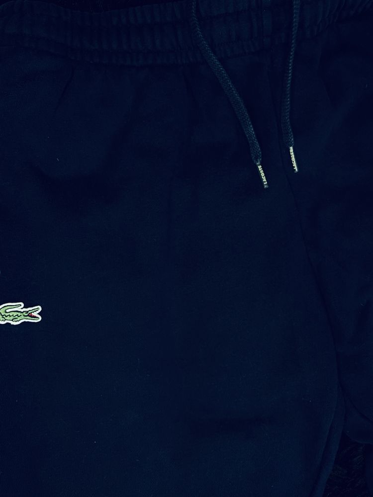Calcas fato treino Lacoste