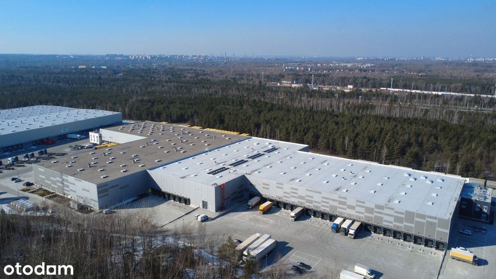 Powierzchnia magazynowo - biurowa w Sosnowcu