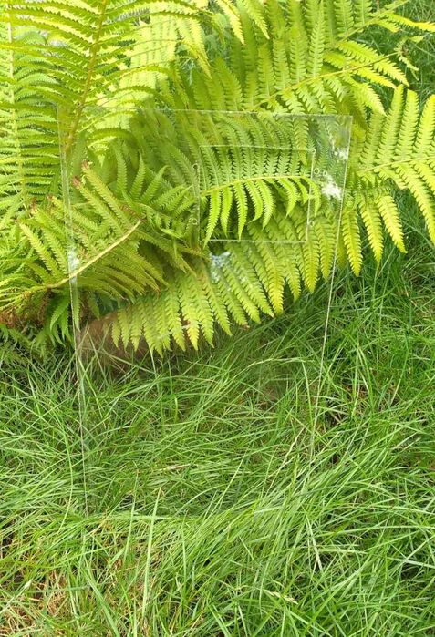 Оргстекло. Оргскло.