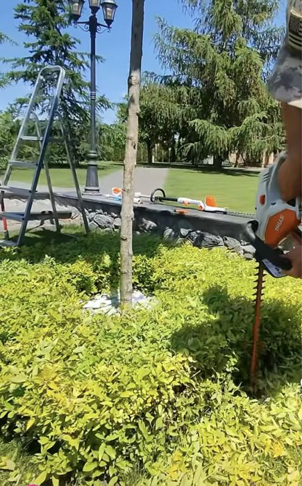 Топіарна стрижка рослин, догляд за вашою ділянкою, покіс газону