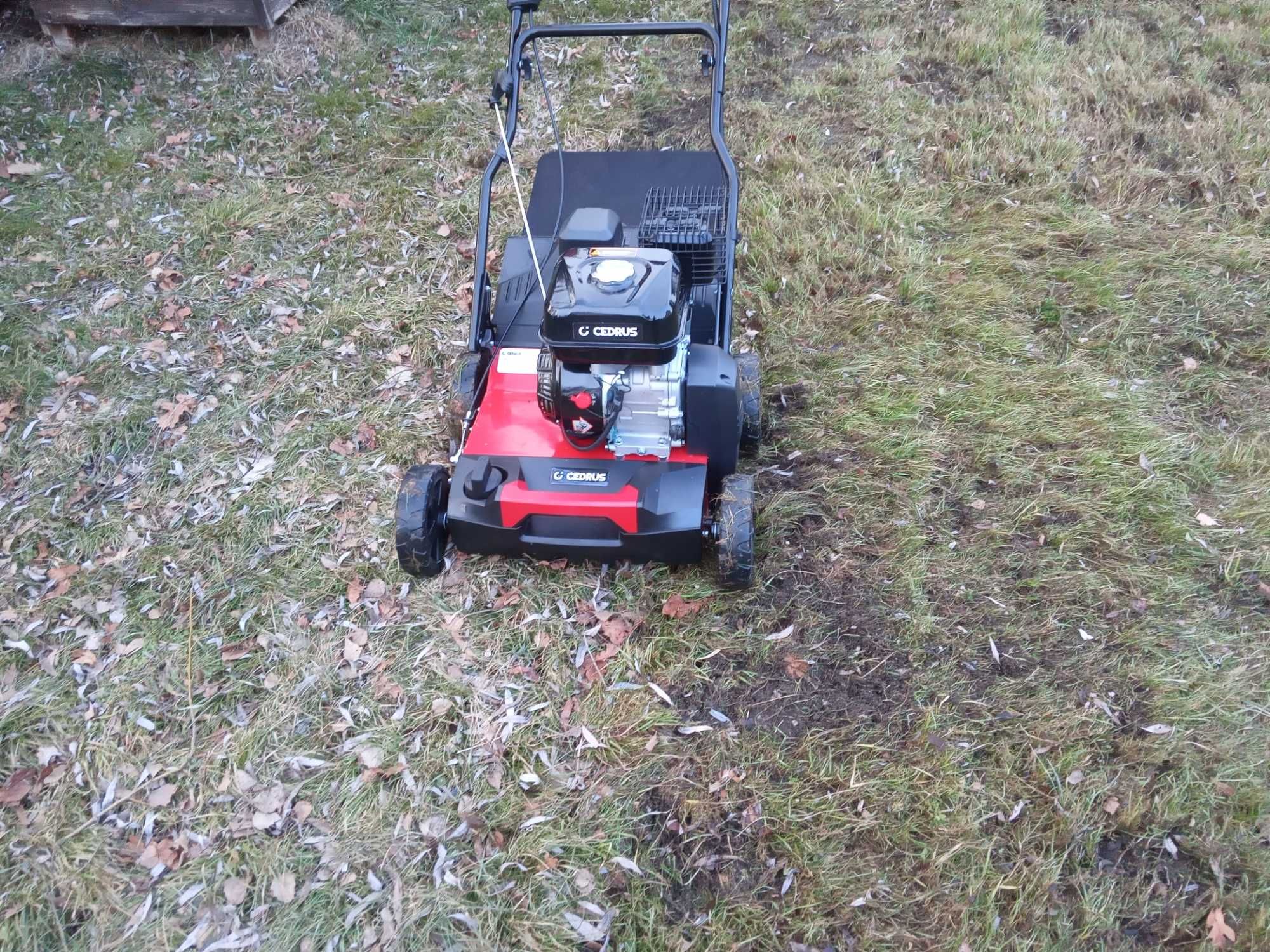 Wynajem wertykulatora aerator wertykulator spalinowy Cedrus Myszków