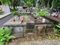 Miejsce na cmentarzu wraz z grobowcami